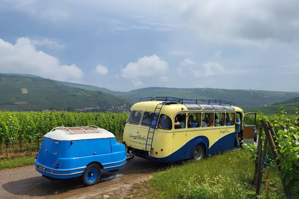 Bus avec remorque vignes