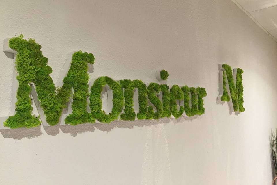 Monsieur M