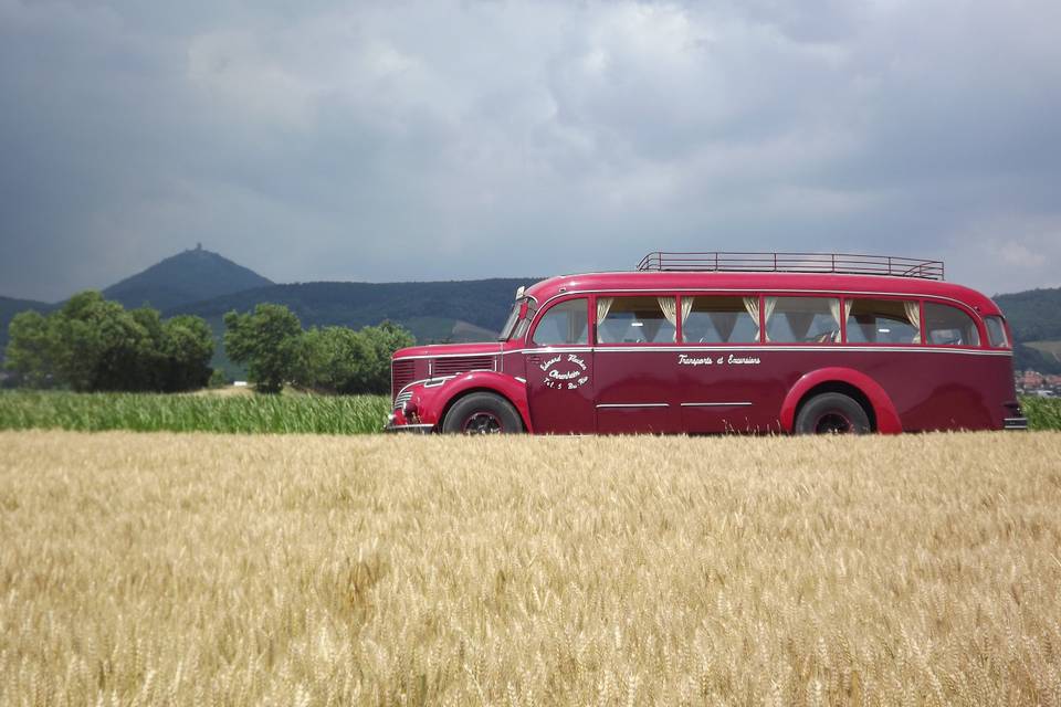 Véhicule ancien dans le champ