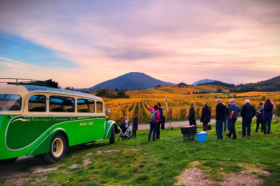 En vieux bus dans les vignes
