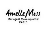 Amelle Mess logo