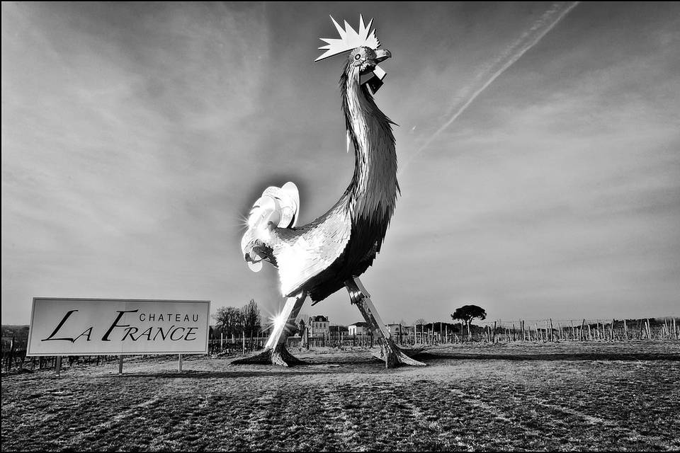 Le Coq du Château la France