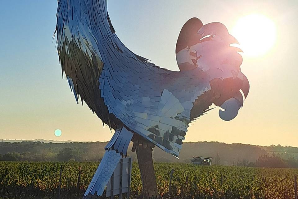 Le Coq du Château la France