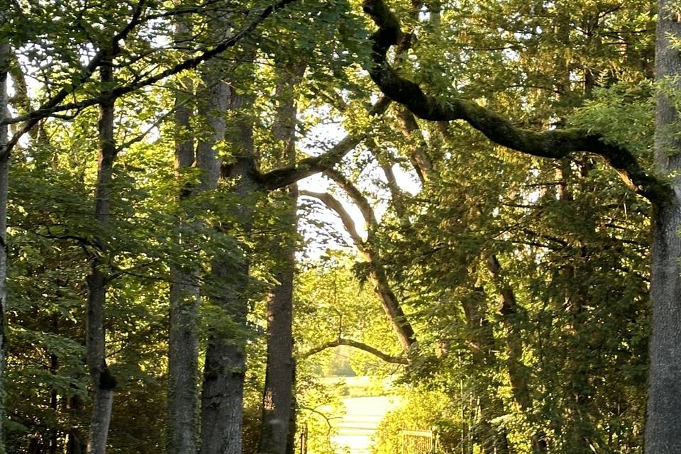 L’arrivée au chateau