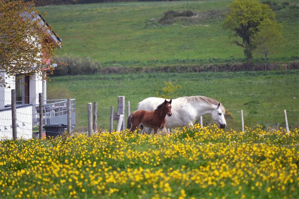 Les Hauts de Toulvern