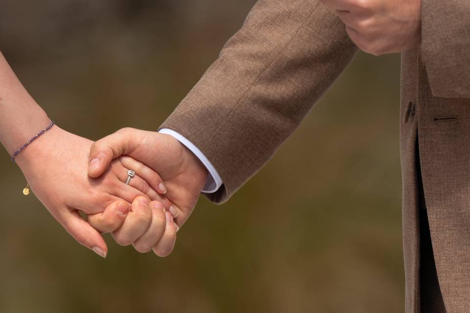 Lecture des voeux