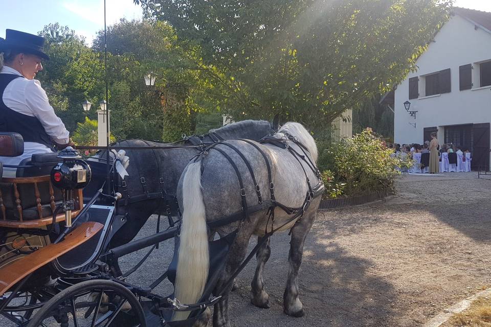 Les Calèches de l'Hautil