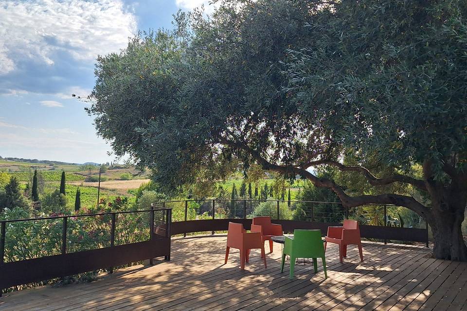Terrasse