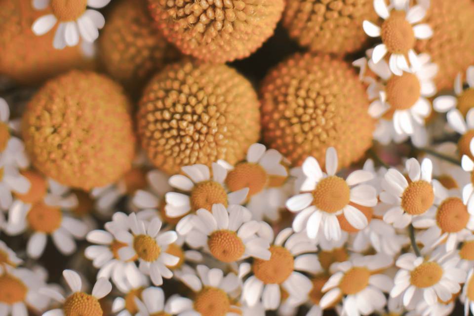 Bouquet de mariée