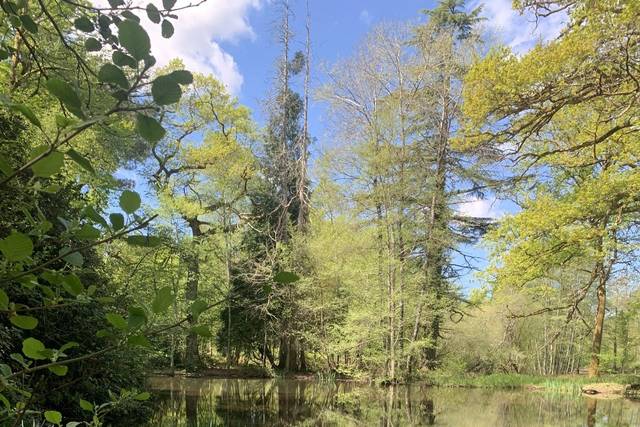Etang
