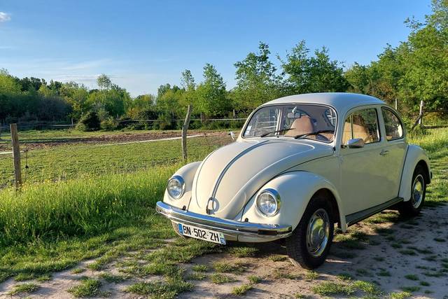 Mariage en Coccinelle