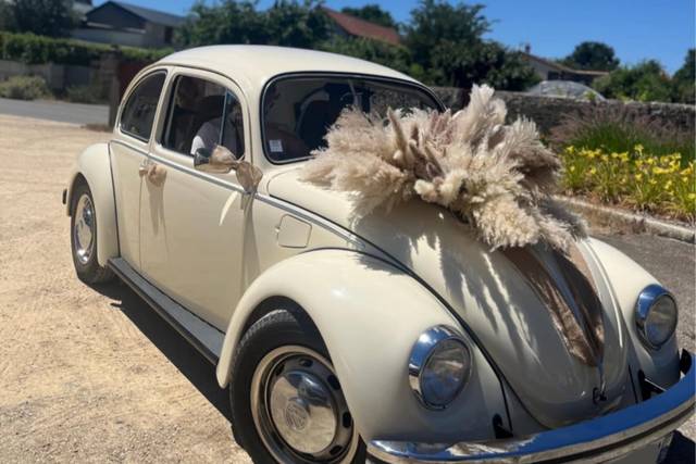 Coxine est ses extravagances!