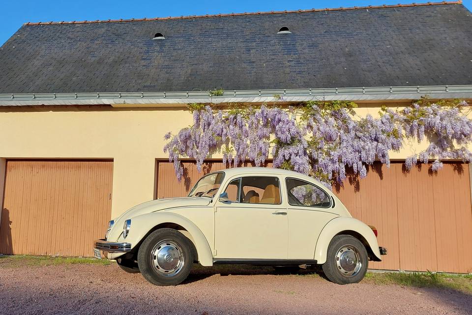 Mariage en Coccinelle