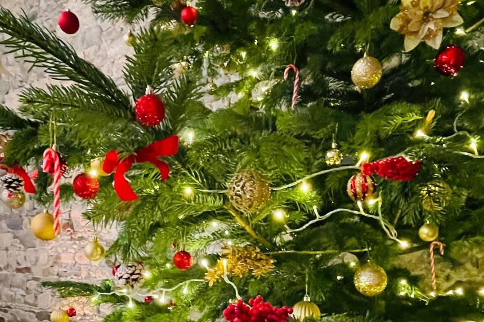 Manoir de La Bégaudière