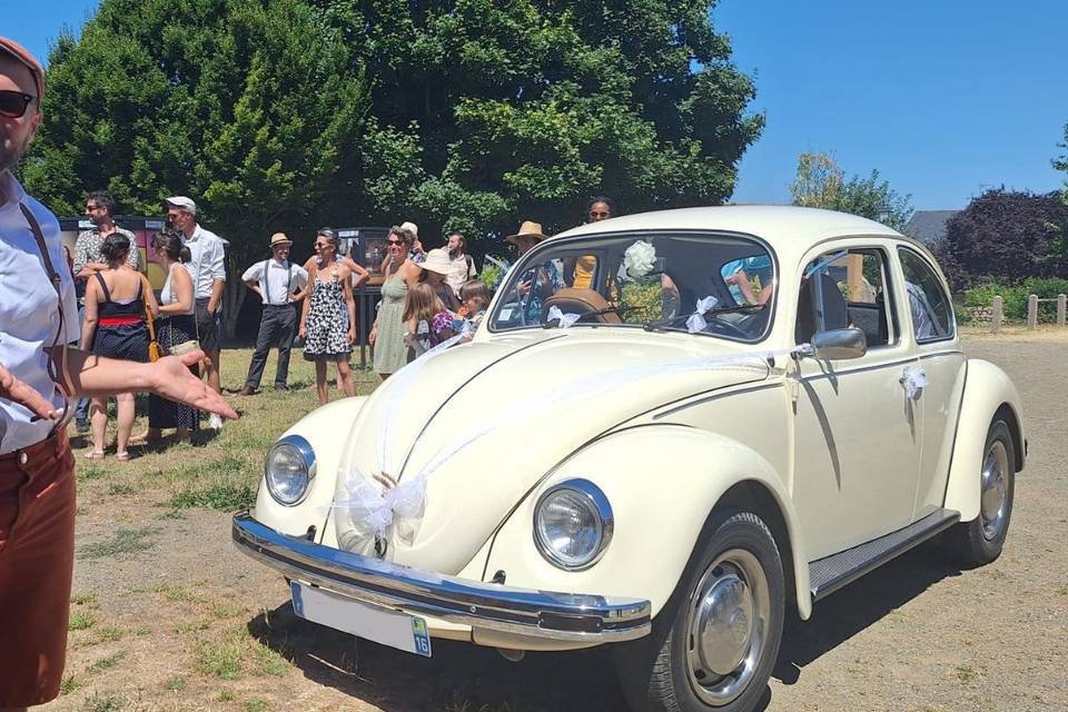 Le marier présente Coxine