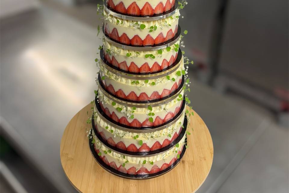 Fraisiers boîte passion