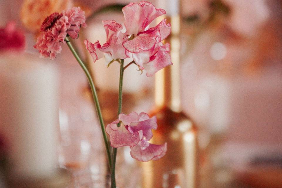 Fleurs