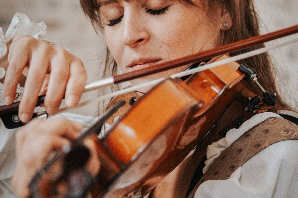 Violon