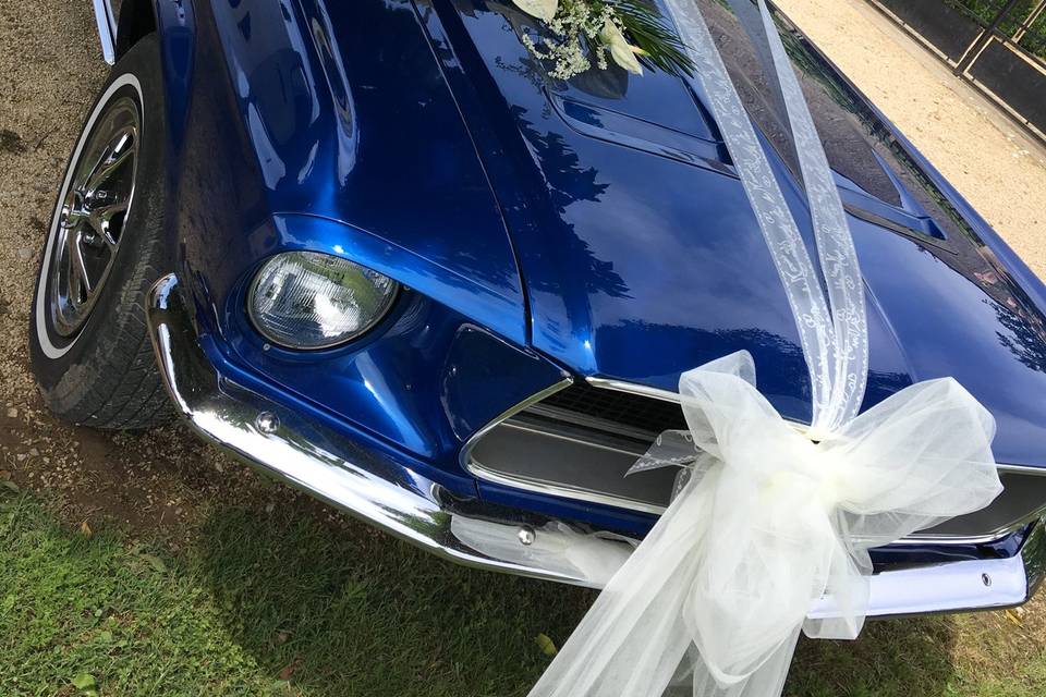 Décoration de voiture