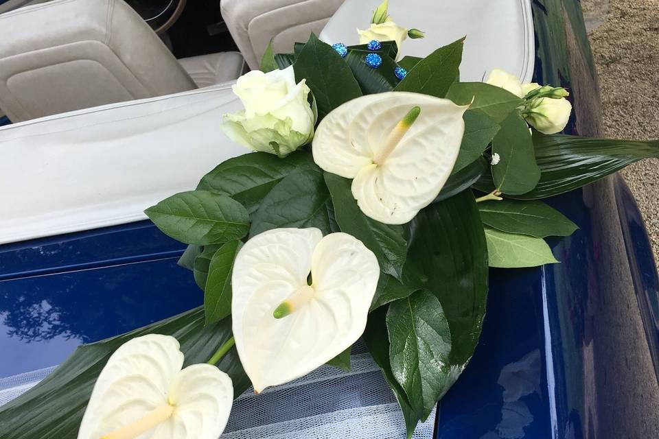 Décoration de voiture