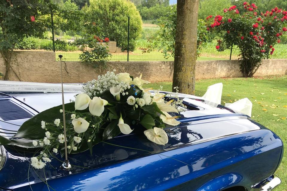 Décoration de voiture