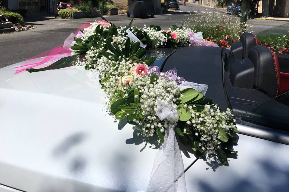 Guirlande de voiture