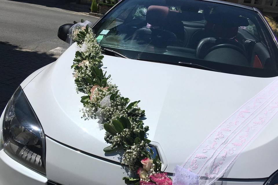 Guirlande de voiture