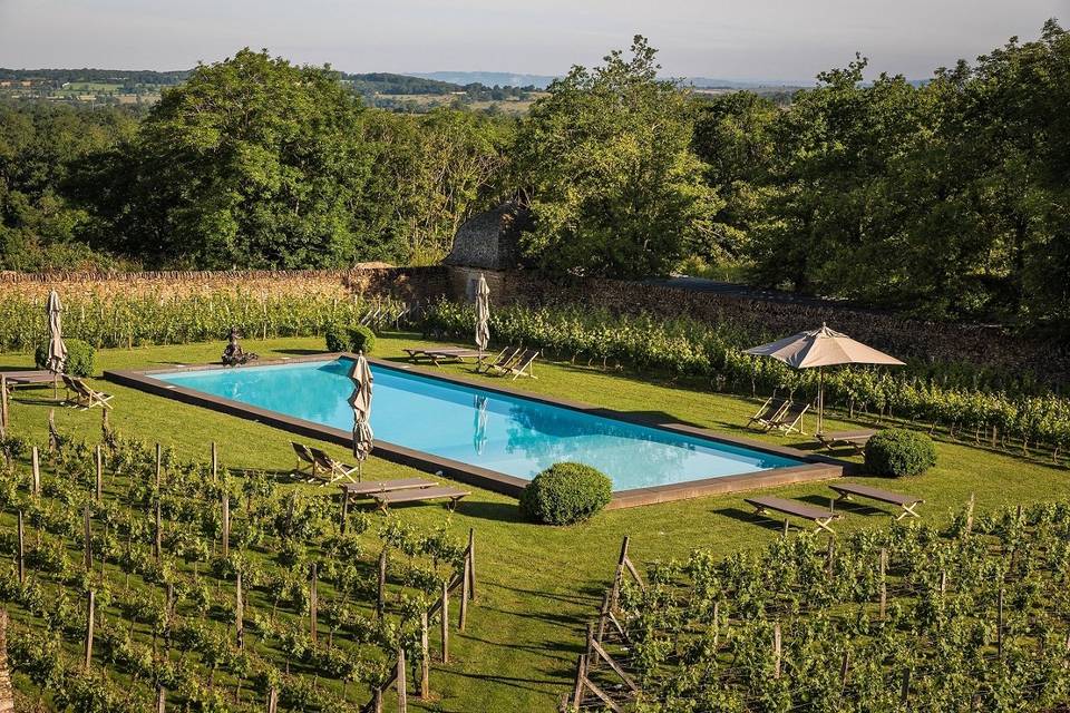 Bassin de nage dans vignes