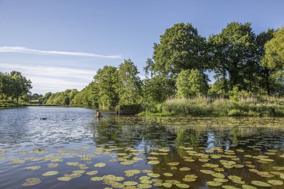 L'Etang