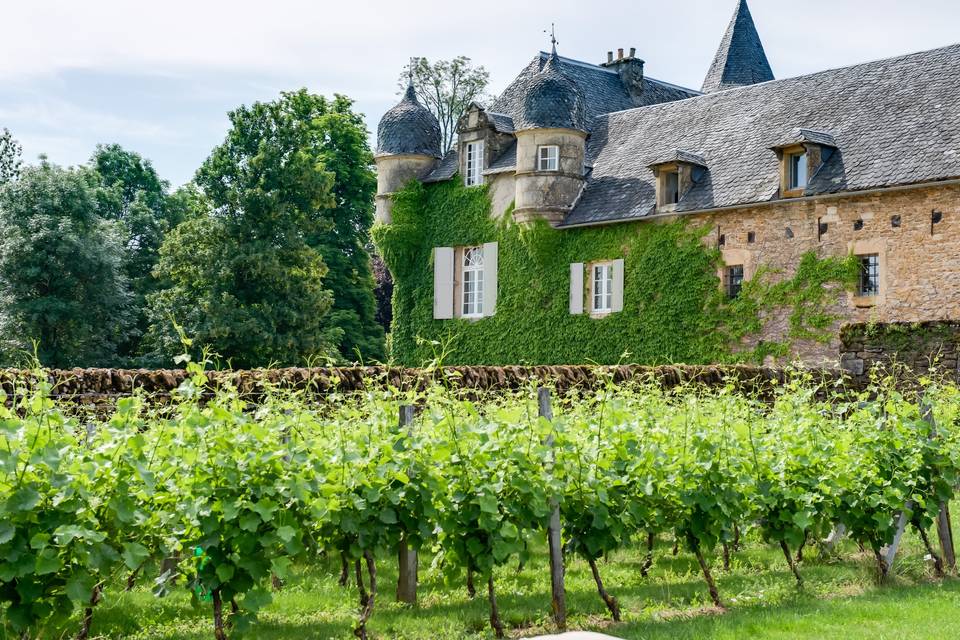 Les vignes du clos Labro