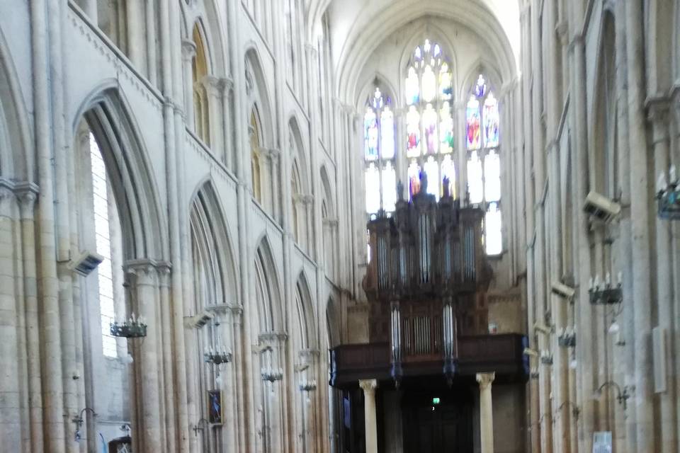 Collégiale Eu à 300m à pieds