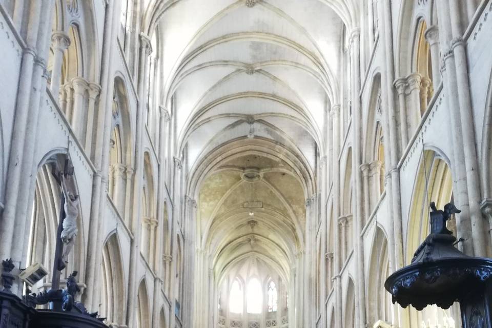 Collégiale Eu à 300m à pieds
