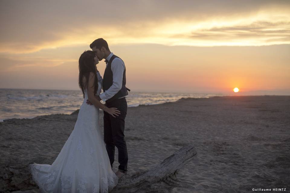 Trash the Dress