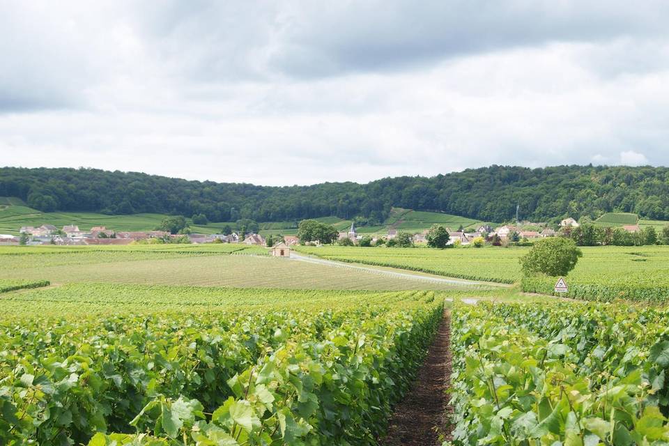 Pré en Bulles