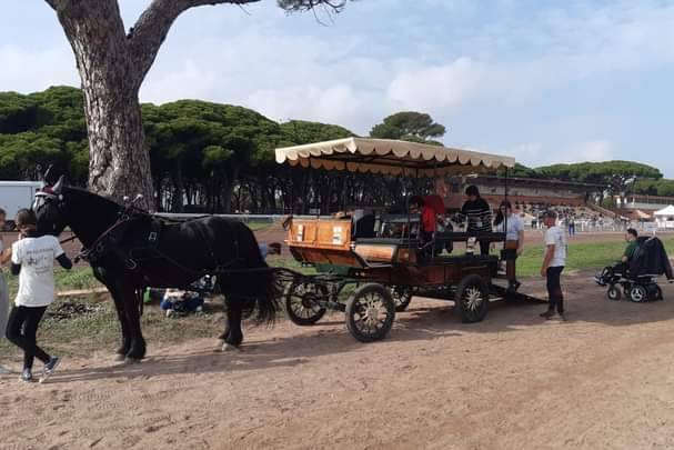 BM Équitation