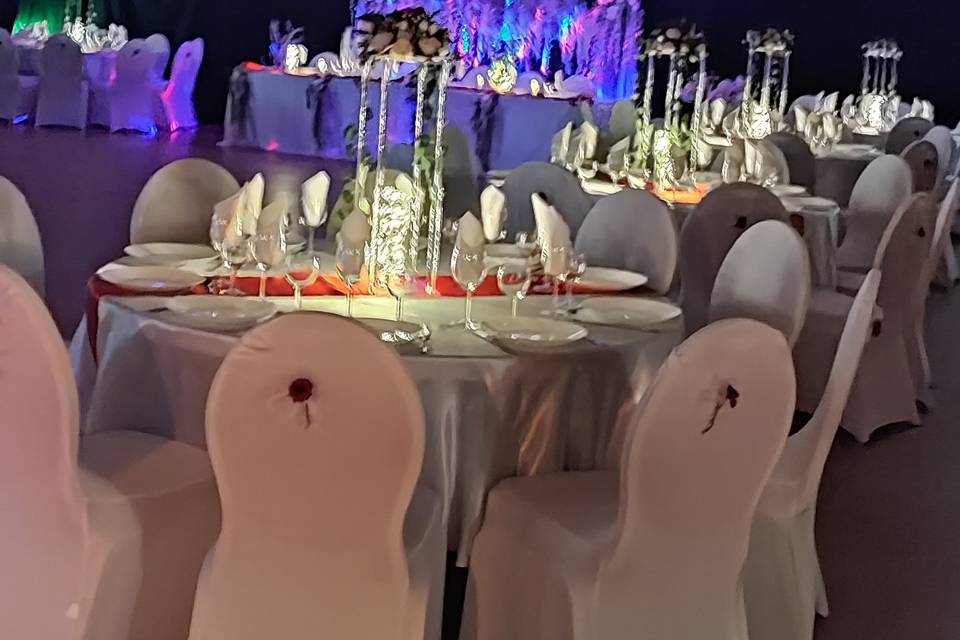 Mirela Events