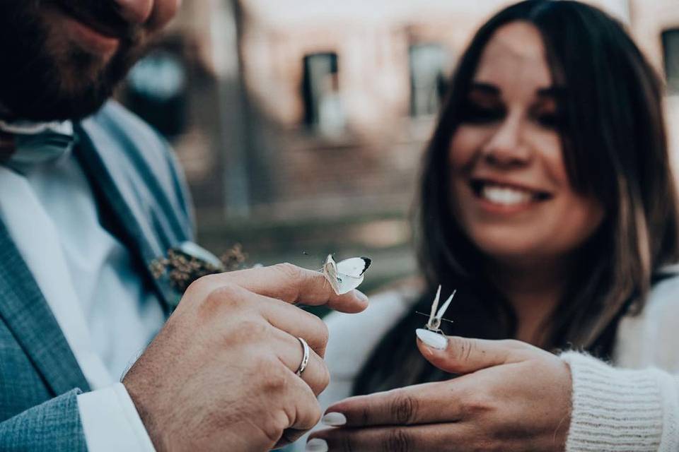 Papillons pour mariages