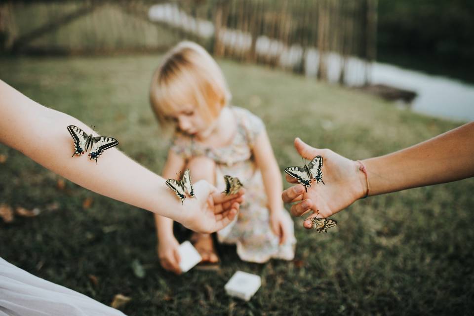 Papillons Machaons mariages