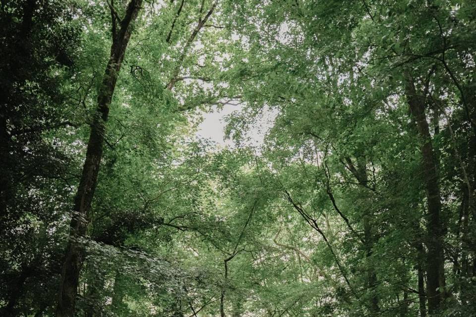 Mariage dans la nature
