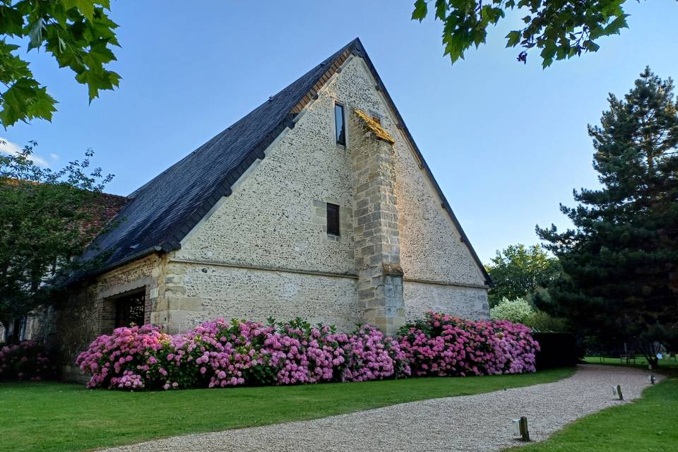 Allée hortensias