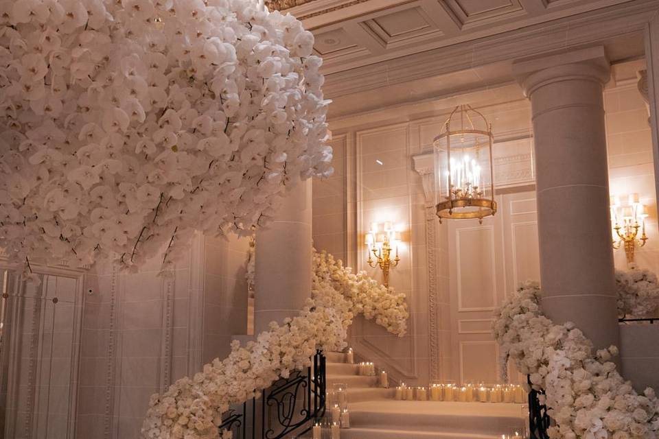 Escalier Salon Auteuil