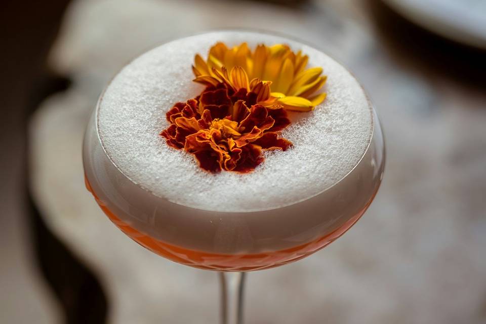 Cocktail Gin Sour
