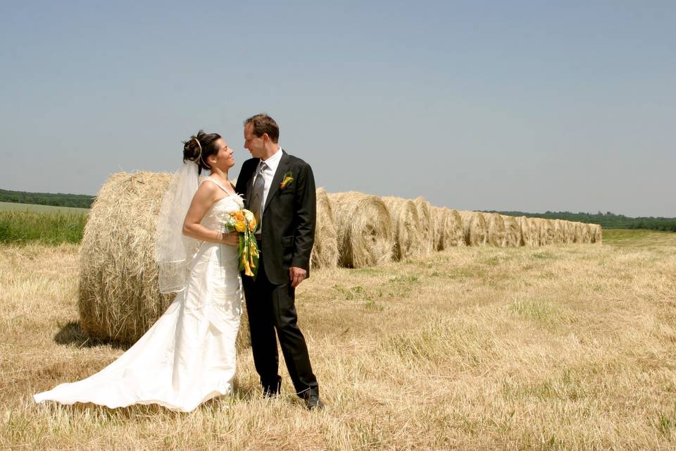 Mariage Campagne, Nature