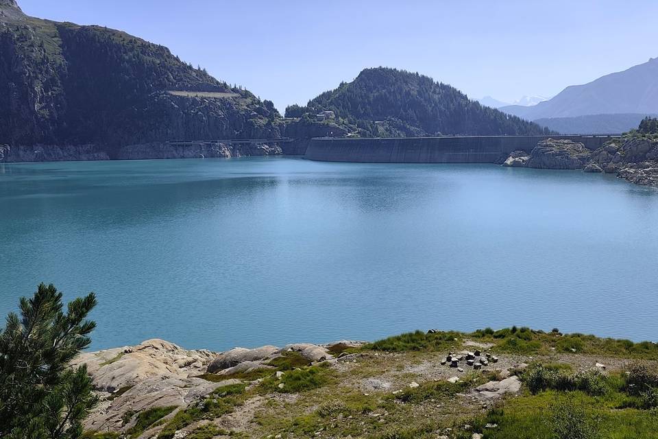 Suisse