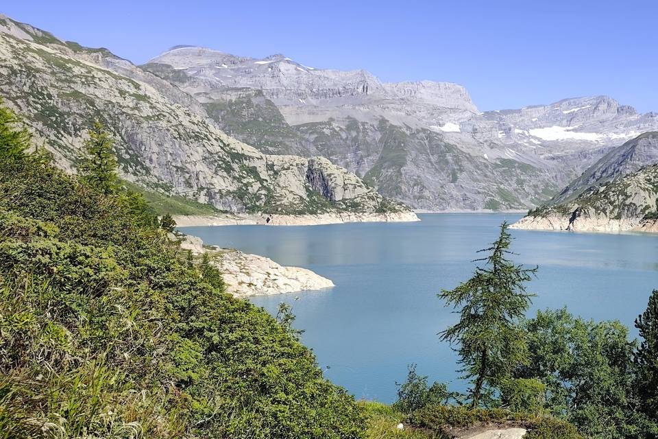 Suisse