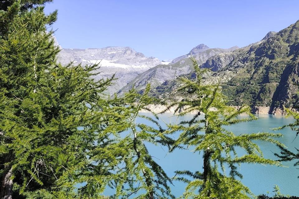 Suisse
