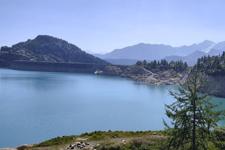Suisse