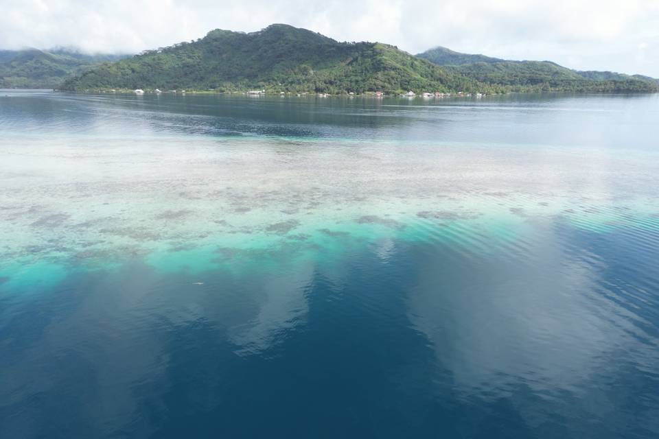 Tahaa