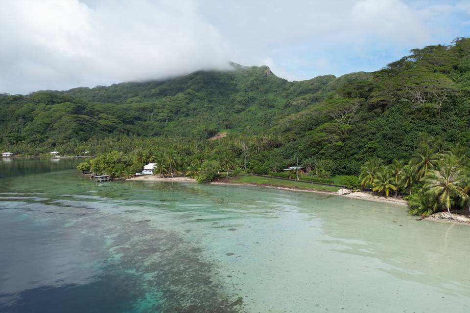 Tahaa