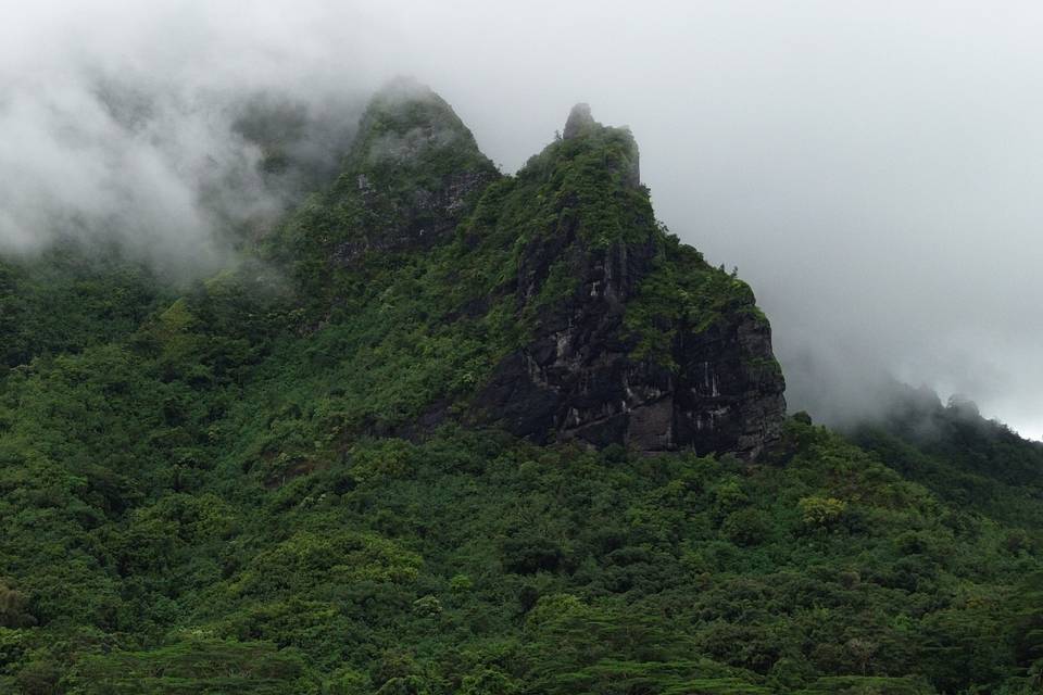 Moorea